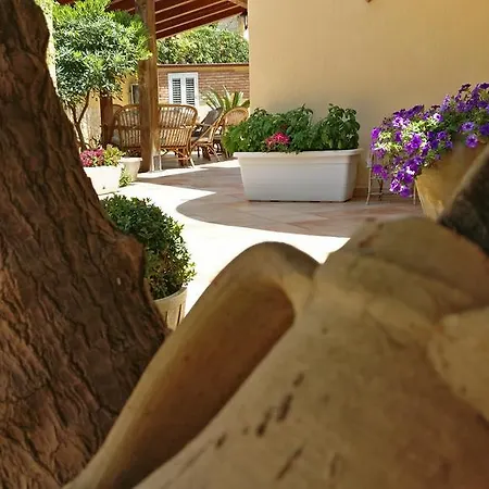Maiolica Bed & Breakfast