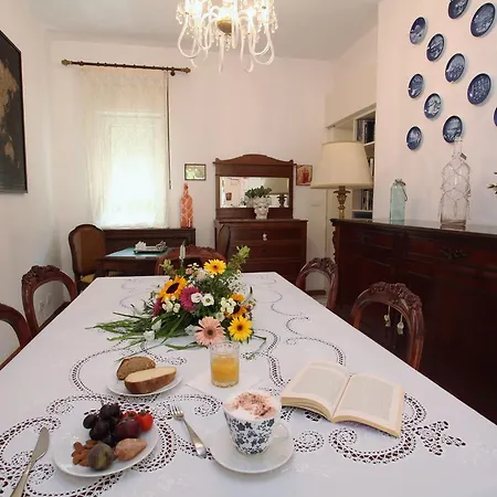 Maiolica San Leone